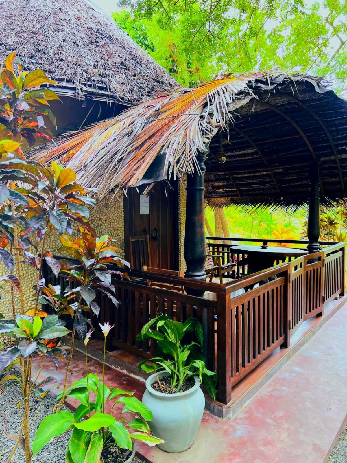 Turtle Watch Cabana Tangalle Εξωτερικό φωτογραφία