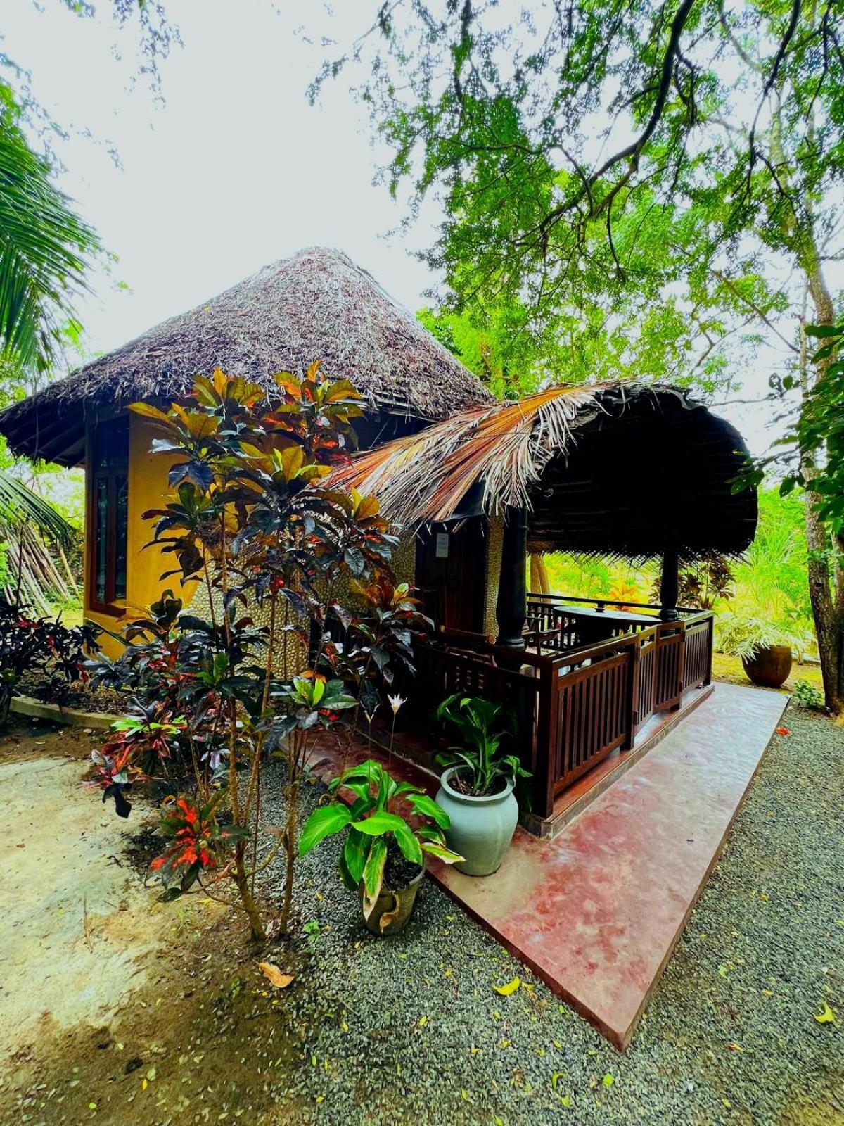 Turtle Watch Cabana Tangalle Εξωτερικό φωτογραφία