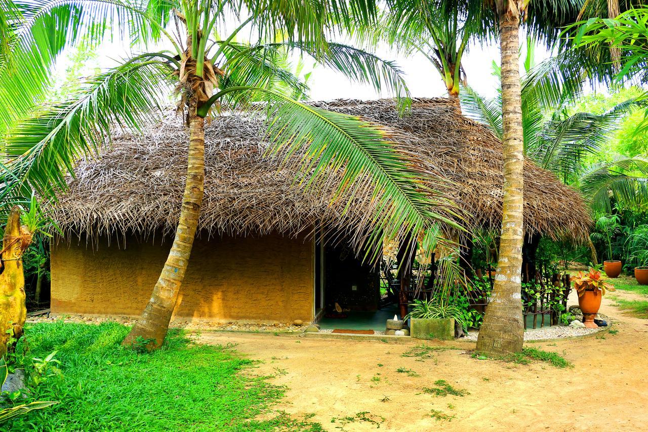 Turtle Watch Cabana Tangalle Εξωτερικό φωτογραφία
