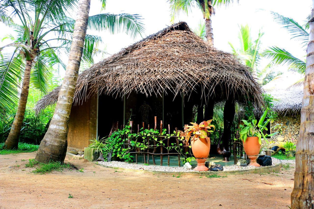 Turtle Watch Cabana Tangalle Εξωτερικό φωτογραφία