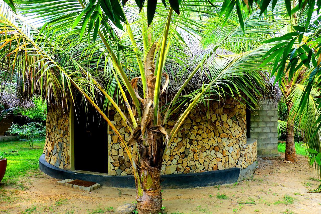 Turtle Watch Cabana Tangalle Εξωτερικό φωτογραφία